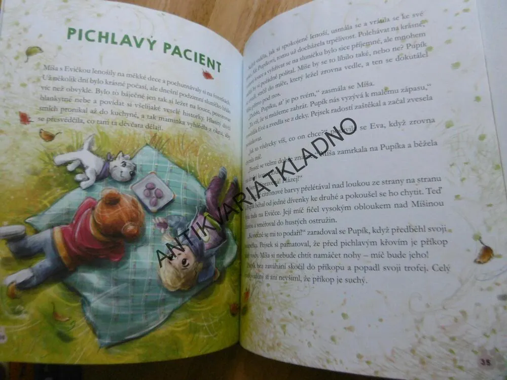 MÍŠA A JEJÍ MALÍ PACIENTI Z LIPOVÉ KLINIKY, FILIPOWSKÁ, CHOLEWINSKÁ