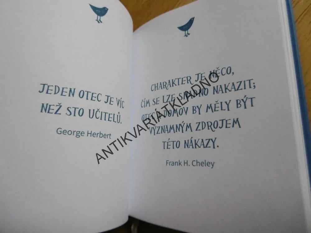 PRO NEJLEPŠÍHO TATÍNKA NA SVĚTĚ, CITÁTY, **an