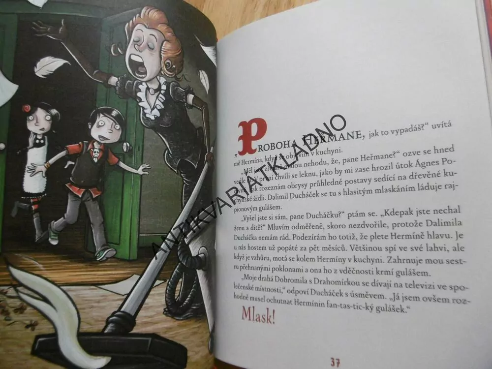 HEŘMAN HMMM A PŘÍPAD ČERNÉ SEDMY, GERARDOVÁ, **an