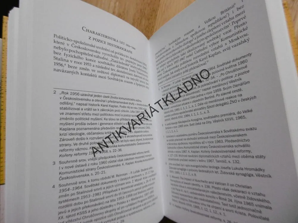 ŽIDÉ V ČESKÝCH ZEMÍCH PO ŠOA, IDENTITA PORANĚNÉ PAMĚTI, SOUKUPOVÁ