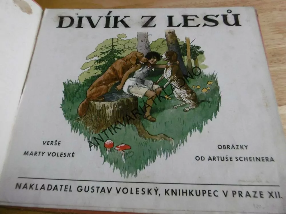 DIVÍK Z LESŮ, VOLESKÁ, ARTUŠ SCHEINER