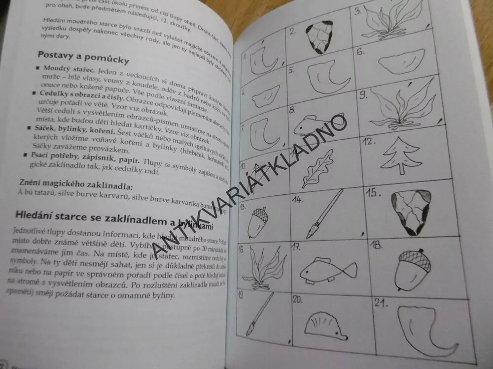ETAPOVÉ HRY V PŘÍRODĚ, MAJKA FOGLOVÁ
