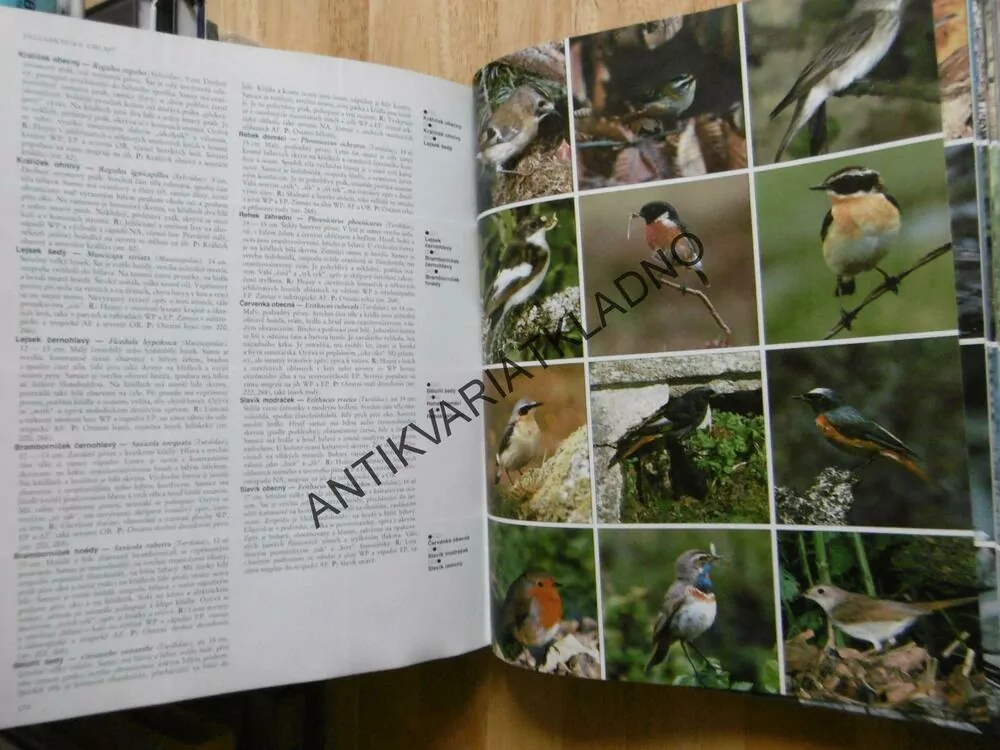 ATLAS PTÁKŮ SVĚTA, VÍCE NĚŽ 1300 FOTOGRAFIÍ, A. GOSLER
