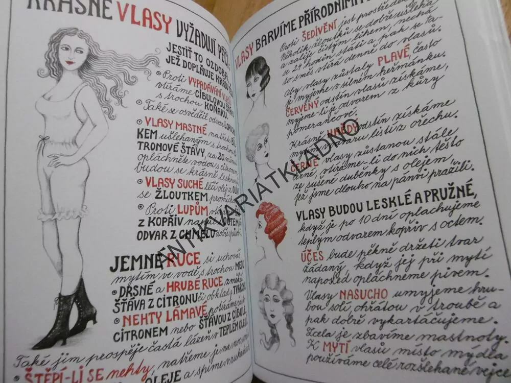 DOMÁCÍ ŠTĚSTÍ ANEB JAK SI SPRÁVNĚ V ŽIVOTĚ VÉSTI, IVA HÜTTNEROVÁ, **an