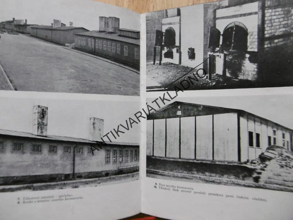 MAUTHAUSEN, VÁCLAV BERDYCH, HISTORIE ODBOJE VĚZŇŮ V KONCENTRAČNÍM TÁBOŘE
