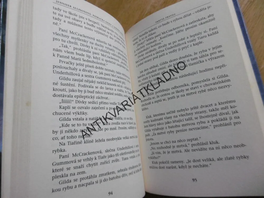PÁTRAČKA GILDA A JEZERNÍ PANNY, JENNIFER ALLISONOVÁ, **an