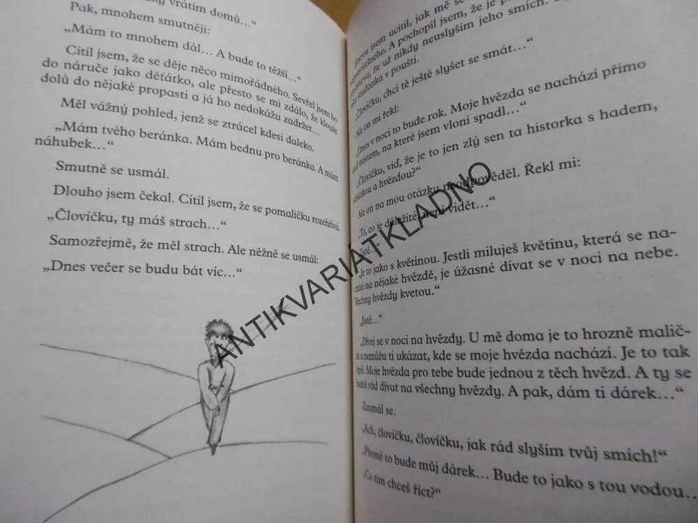 MALÝ PRINC, ANTOINE DE SAINT - EXUPÉRY, **an