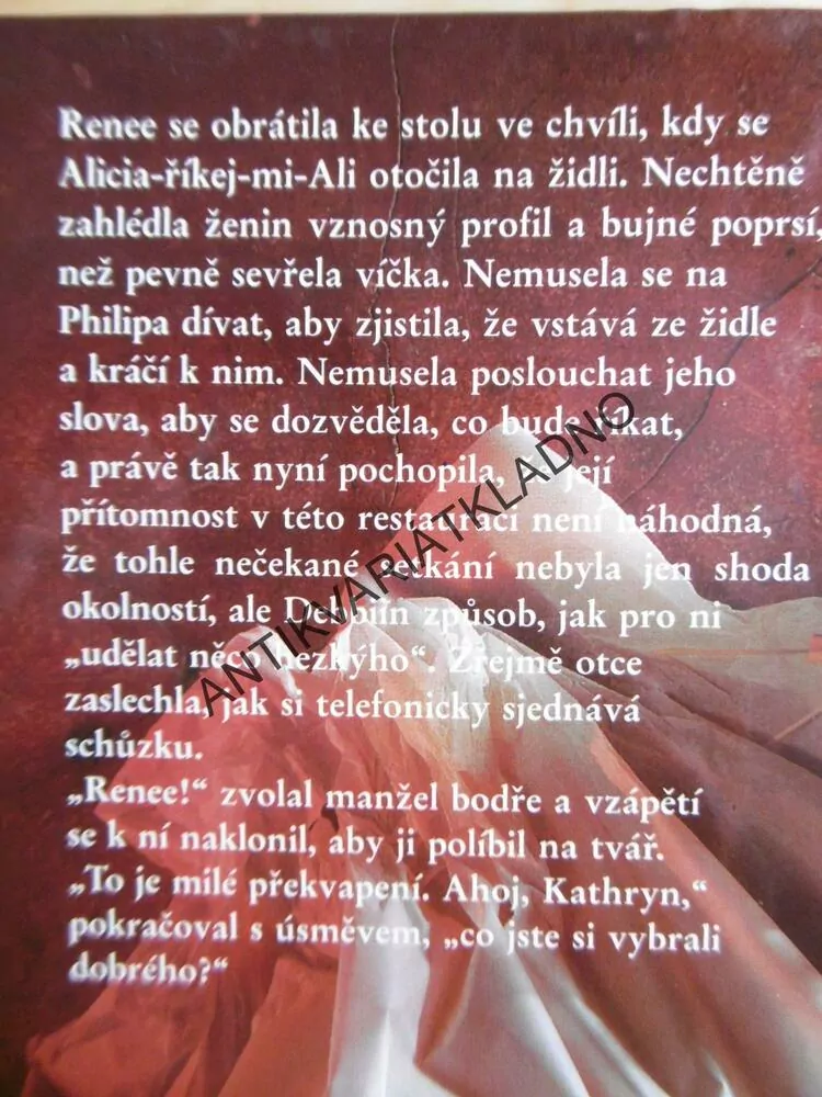 DOBRÉ ÚMYSLY, JOY FIELDINGOVÁ, **an