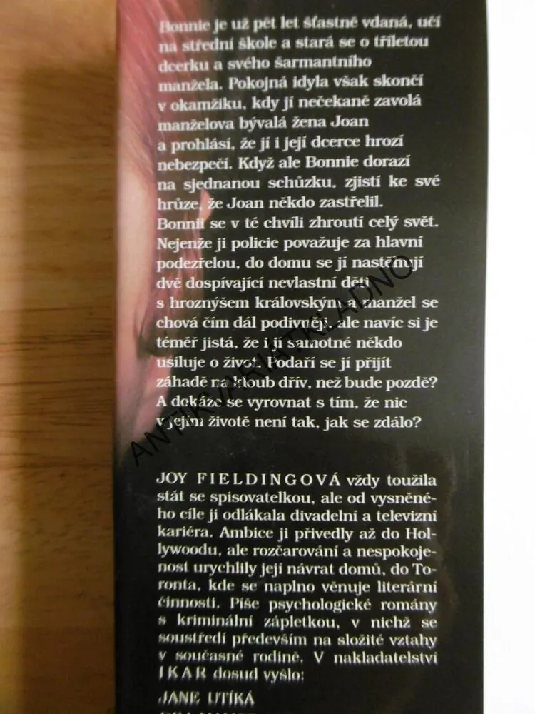 TEĎ NEPLAČ, JOY FIELDINGOVÁ, **an