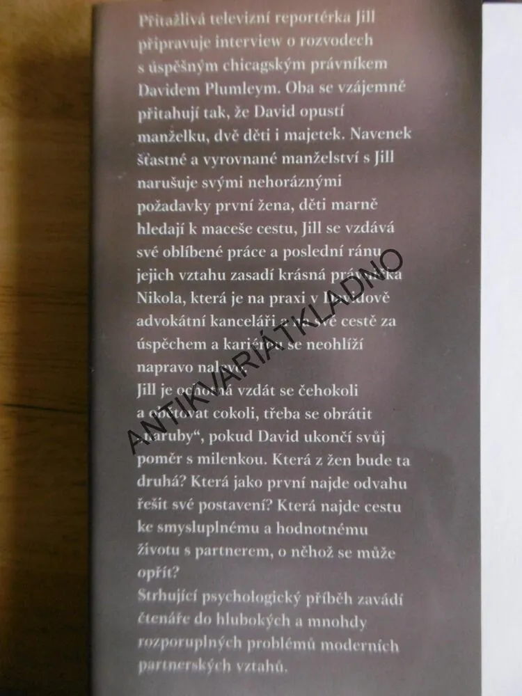 TA DRUHÁ, JOY FIELDINGOVÁ, **an