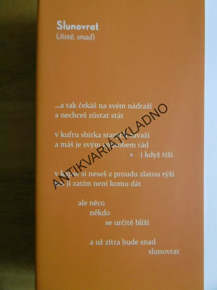 HLEDÁM SVŮJ RÝM, ANDREA PLATZNEROVÁ, **an