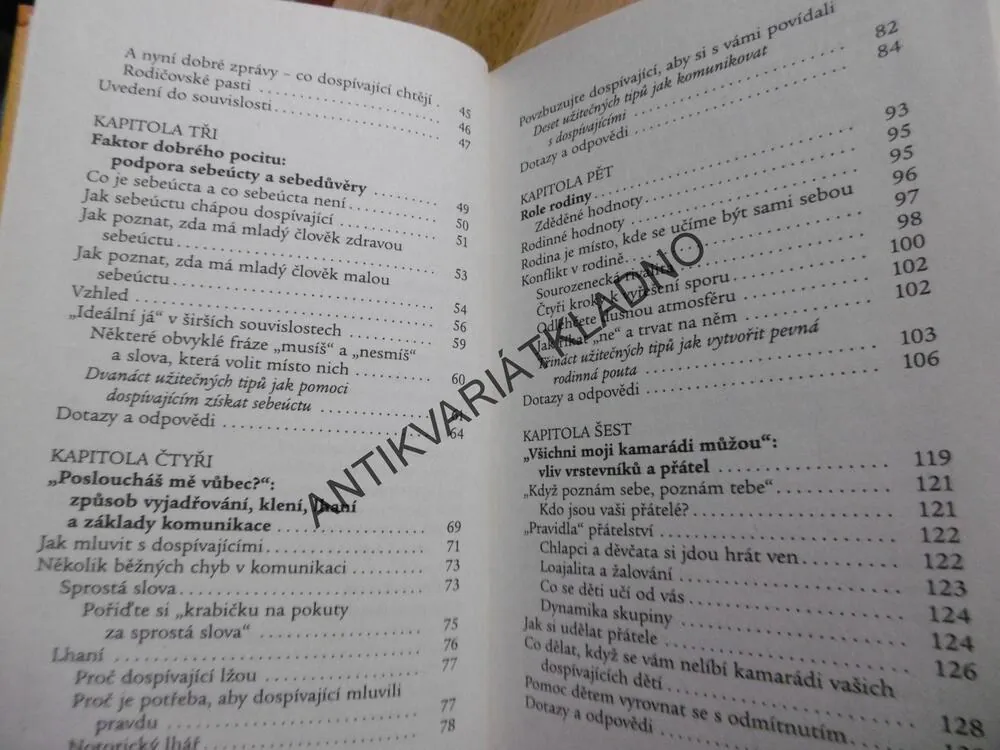 NEBOJTE SE VYCHOVÁVAT, KAŽDODENNÍ PRŮVODCE SVĚTEM DOSPÍVAJÍCÍCH, HINESOVÁ