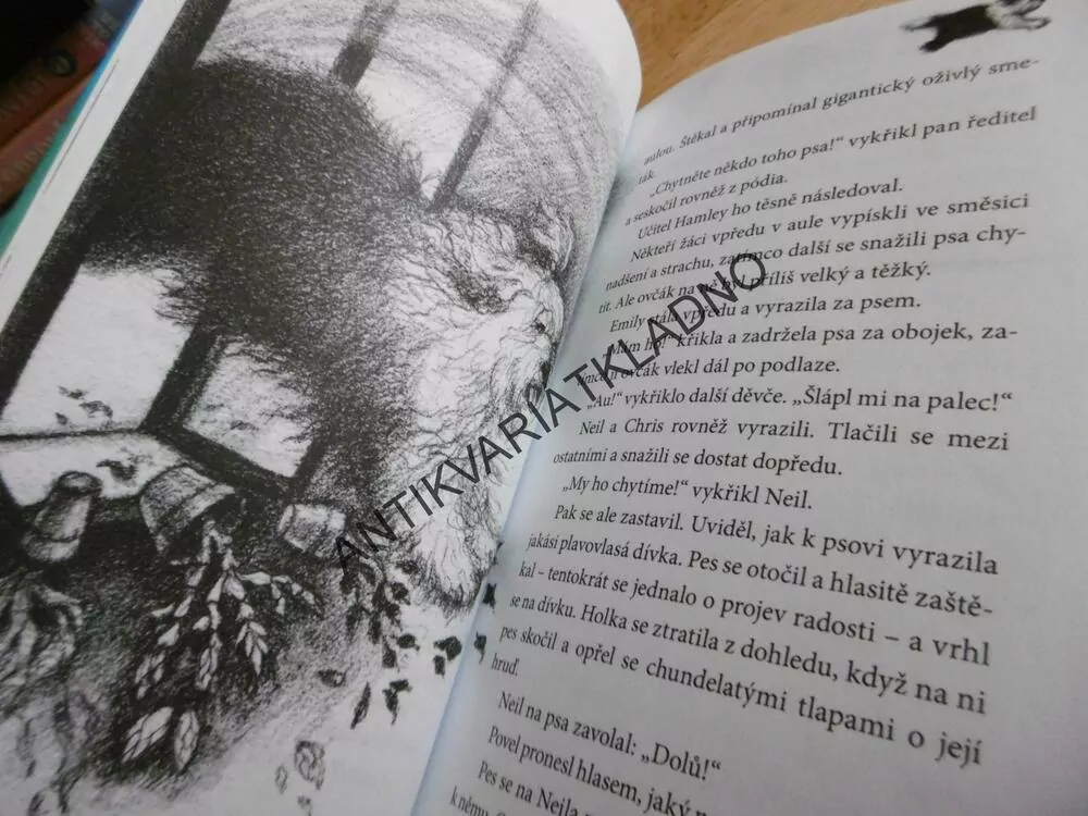 DOBRÁK BEN, DĚTSKÁ HLÍDKA, JENNY DALEOVÁ, **an