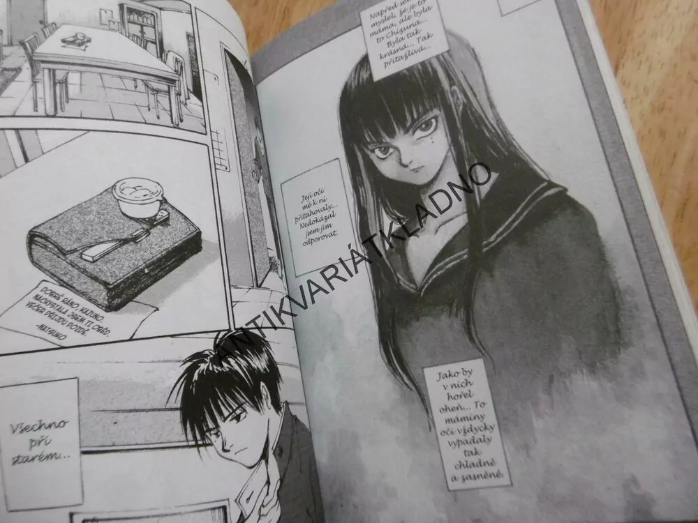 ELEGIE PRO OVEČKU, DIL.1., KEI TOUME, MANGA KOMIKS