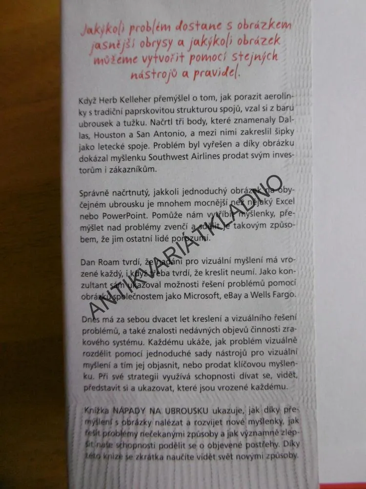 NÁPADY NA UBROUSKU, ŘEŠTE PROBLÉMY A PREZENTUJTE MYŠLENKY POMOCÍ OBRÁZKŮ, DAN ROAM
