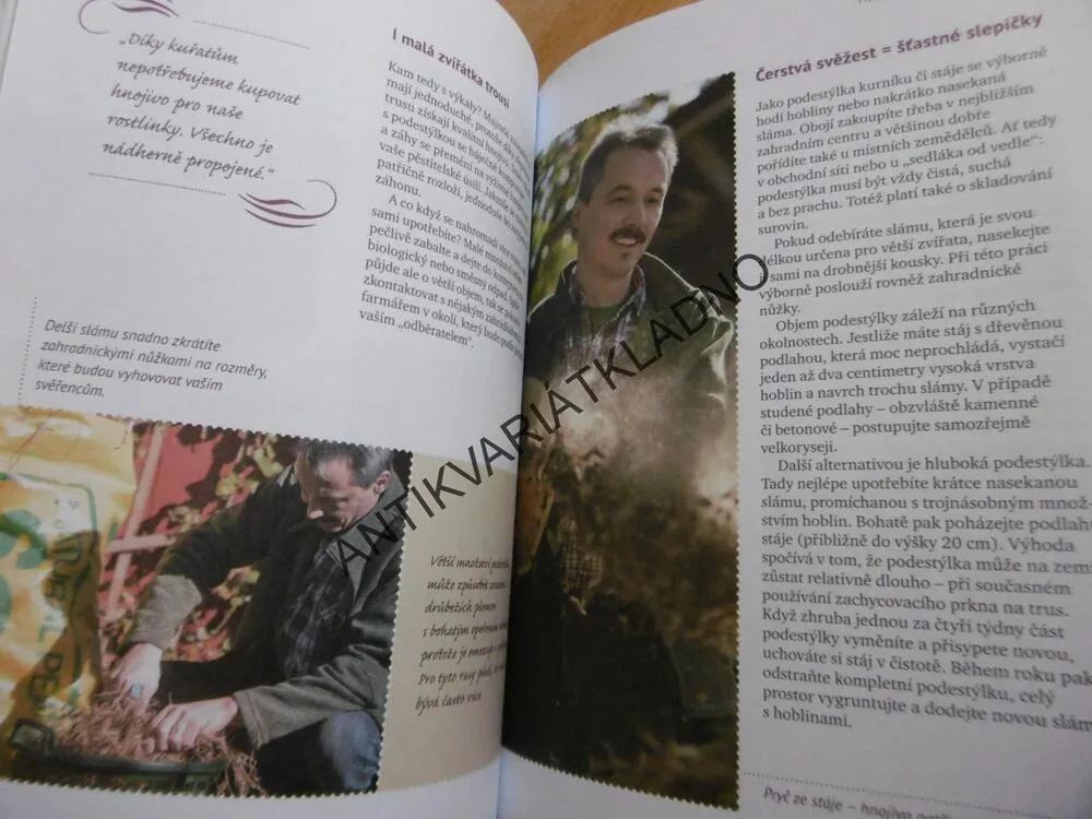 NAŠE PRVNÍ SLEPICE, GOMRINGER