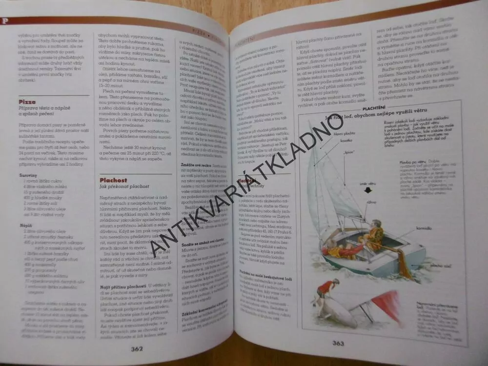 JAK SI PORADIT SKORO SE VŠÍM, DOMÁCNOST, HOBBY, KUTIL, **an