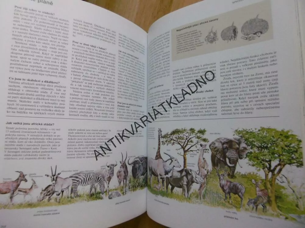 ABC PŘÍRODY, SVĚT V OTÁZKÁCH A ODPOVĚDÍCH, **an
