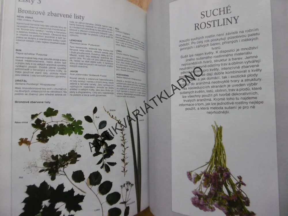 PŘÍJEMNÝ ŽIVOT S KVĚTINAMI, PĚSTOVÁNÍ A VYUŽITÍ JEJICH BARVY A TVARU PŘI ÚPRAVĚ BYTOVÉHO INTERIÉRU, **an