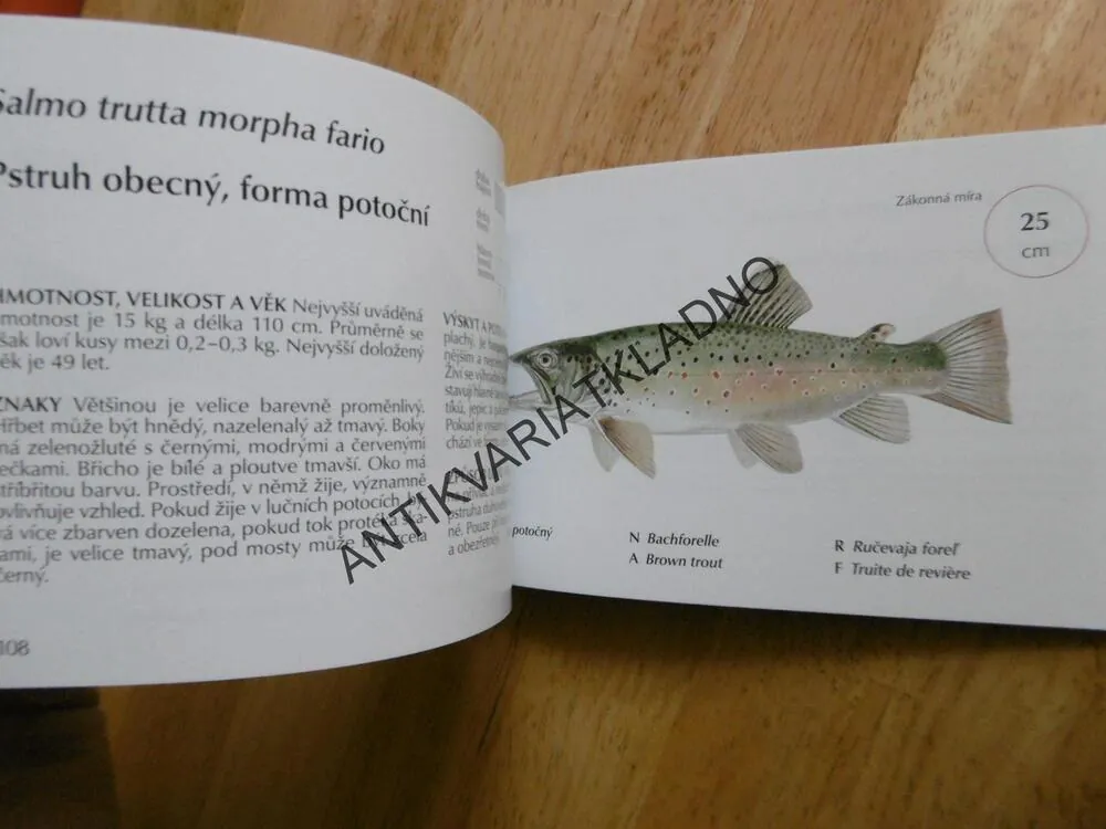 NAŠE RYBY, KAPESNÍ ENCYKLOPEDIE MODERNÍHO RYBÁŘE, OTTO POSPÍŠIL