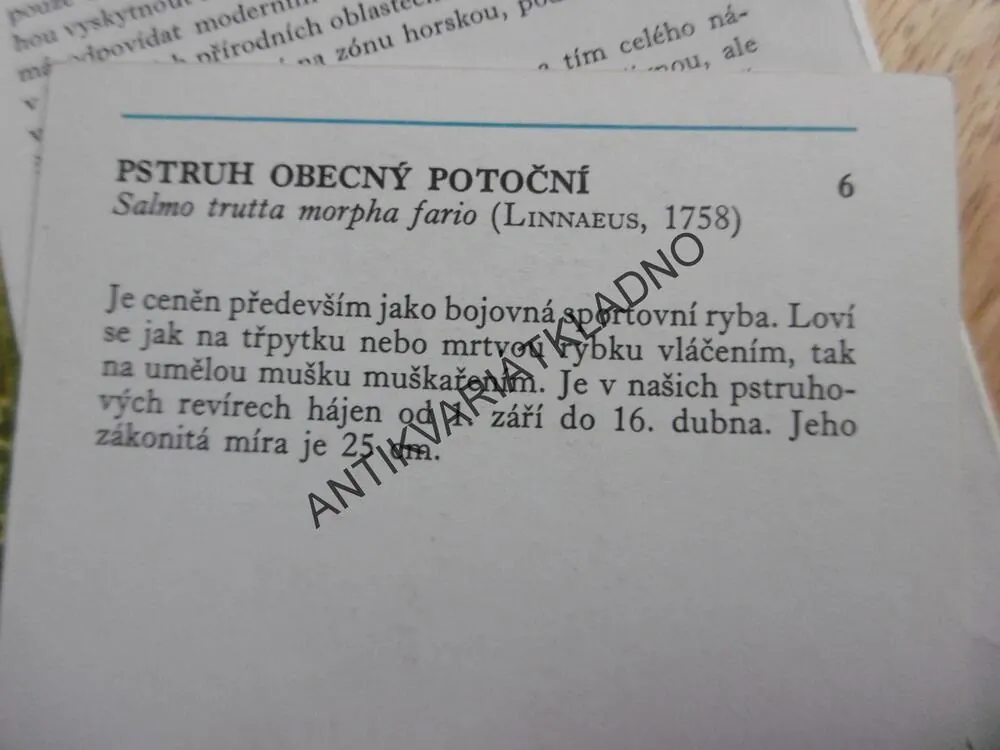NAŠE RYBY, SOUBOR KARET 55 KS ZE 63 