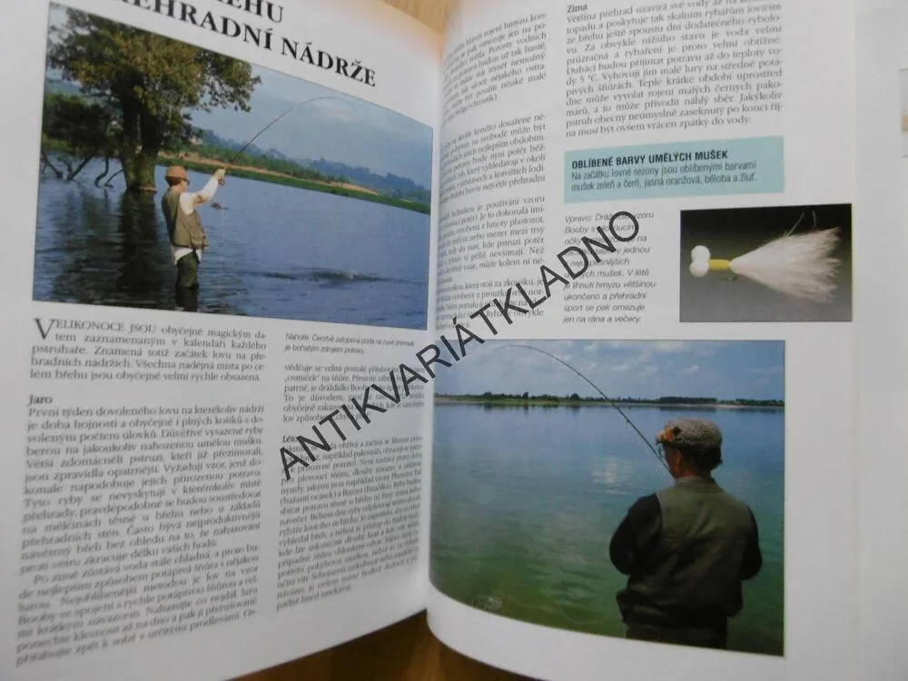 VŠECHNO O RYBAŘENÍ, PURNELL, YATES, DAWN, **an