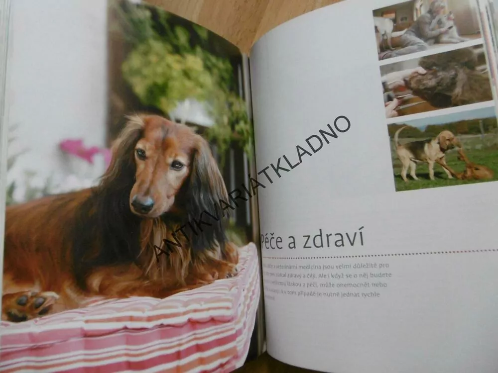 ABECEDA PÉČE O PSA, BOHATSTVÍ RAD A NÁPADŮ, SCHMIDT-RÖGEROVÁ, **an