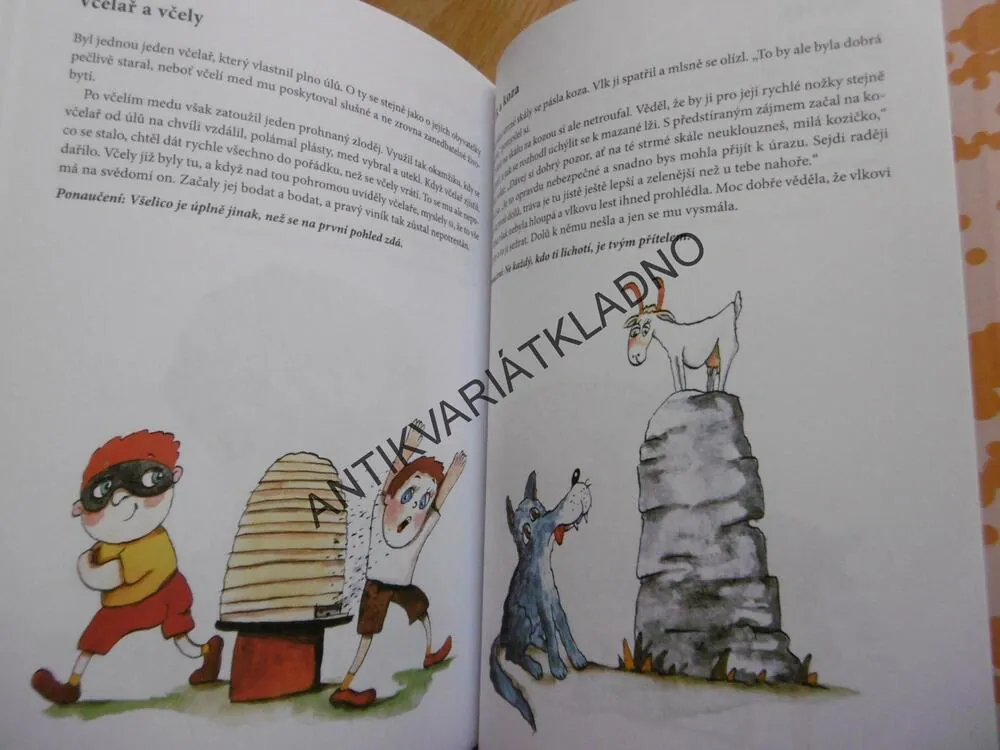 NEJKRÁSNĚJŠÍ POHÁDKY A BAJKY, MALČÍK, **an
