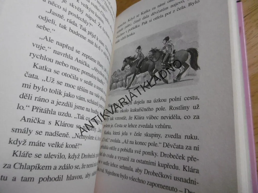 KLÁRA A DROBEČEK, PONÍK TROPÍ HLOUPOSTI, ANNE BACHNEROVÁ