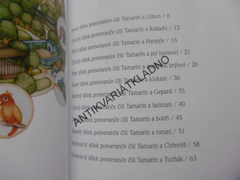 TAMARÍN A POMERANČ, DRIJVEROVÁ, VEVERKOVÁ