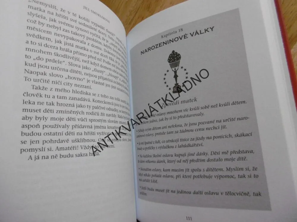ZPOVĚĎ ŠÍLENÉ MATKY, JILL SMOKLEROVÁ, **an