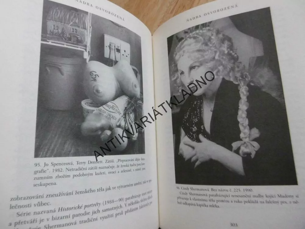 DĚJINY ŇADRA, KULTURNÍ A SOCIÁLNÍ DĚJINY PRSOU OD STAROVĚKU PO SOUČASNOST, YALOMOVÁ