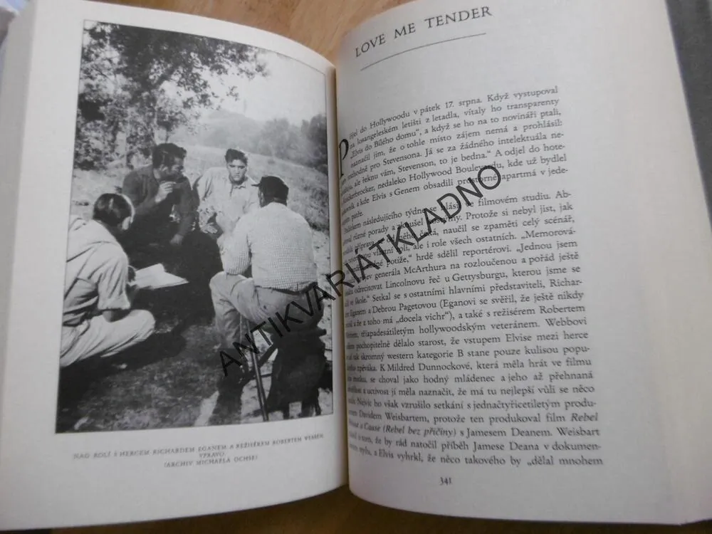 POSLEDNÍ VLAK DO MEMPHISU, CESTA ELVIS PRESLEY KE SLÁVĚ, GURALNICK, **an
