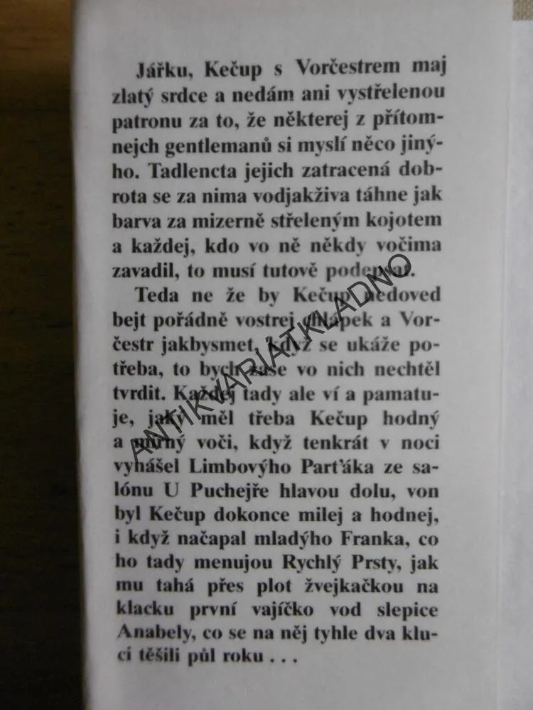 TOM KEČUP A PES VORČESTR, MIKI RYVOLA
