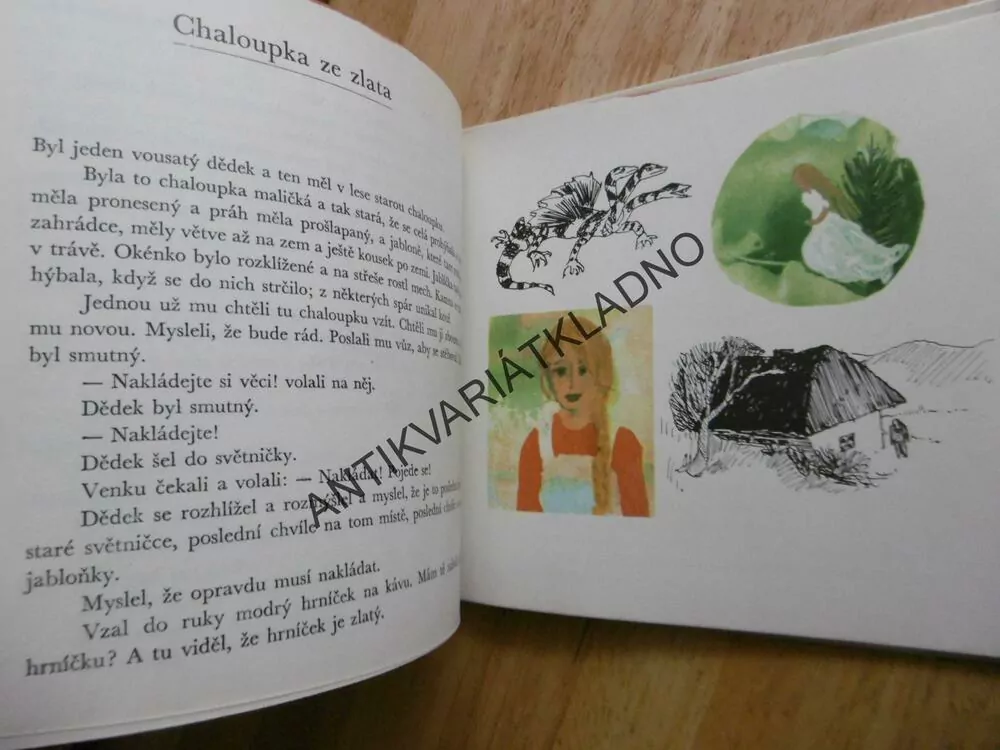 AUTO Z PRALESA, DAISY MRÁZKOVÁ