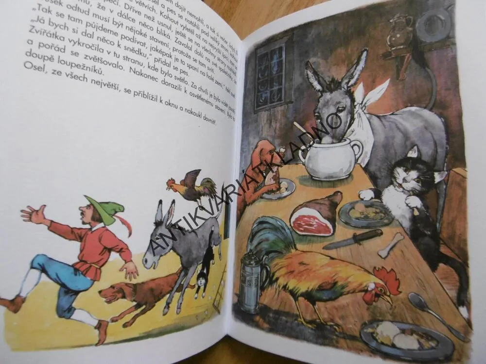 ZLATÁ HUSA, POHÁDKY, BRATŘÍ GRIMMŮ, H.CH. ANDERSEN, **an