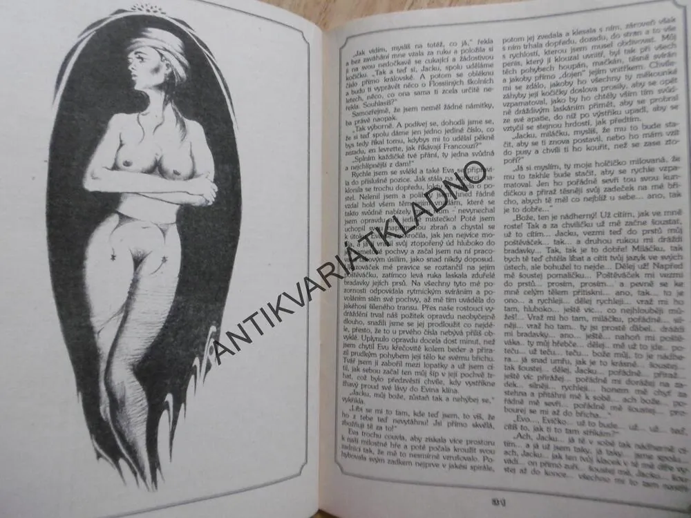 NEI REPORT, EROTICKÁ KNIHOVNIČKA EROTIKA, SEX , PORNO
