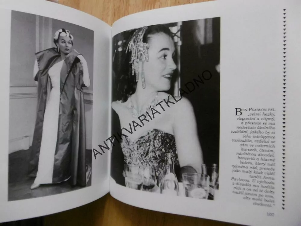 ADINA MANDLOVÁ, OBRAZOVÝ ŽIVOTOPIS, JOSEF FRAIS, JIRAS