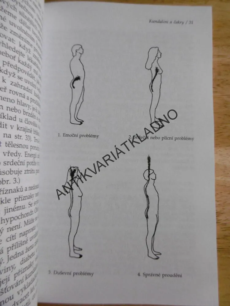 KUNDALINI A ČAKRY, PRAKTICKÁ KNIHA, CESTA UVOLNĚNÍ ŽIVOTNÍ ENERGIE
