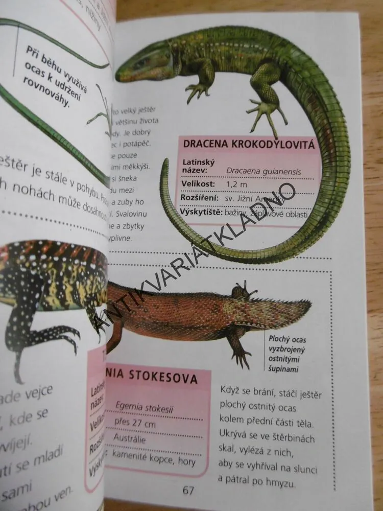 MINIKNÍŽKA HADI A OSTATNÍ PLAZI