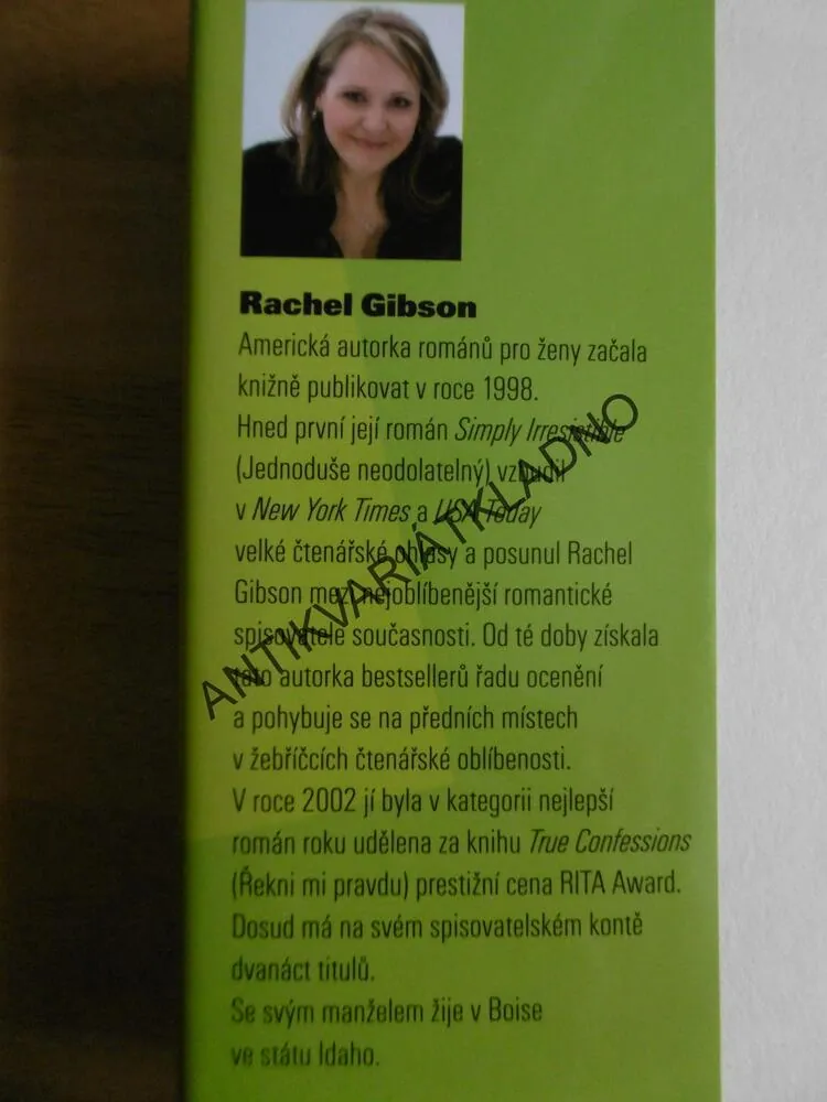 SEX, LŽI A RANDE PŘES INTERNET, RACHEL GIBSON,
