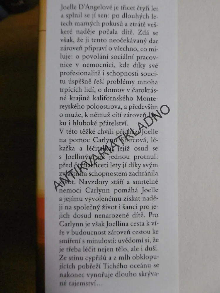 VE STÍNU CYPŘIŠŮ, DIANE CHAMBERLAINOVÁ, **an