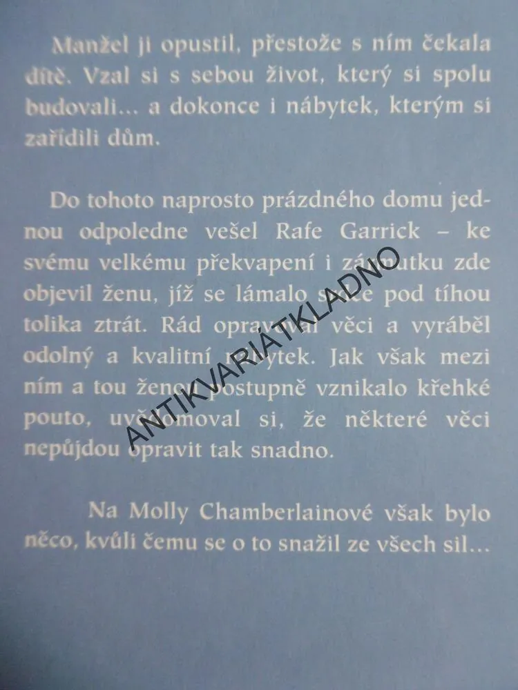 NA DRUHÝ POKUS, BARBARA BRETTONOVÁ, **an
