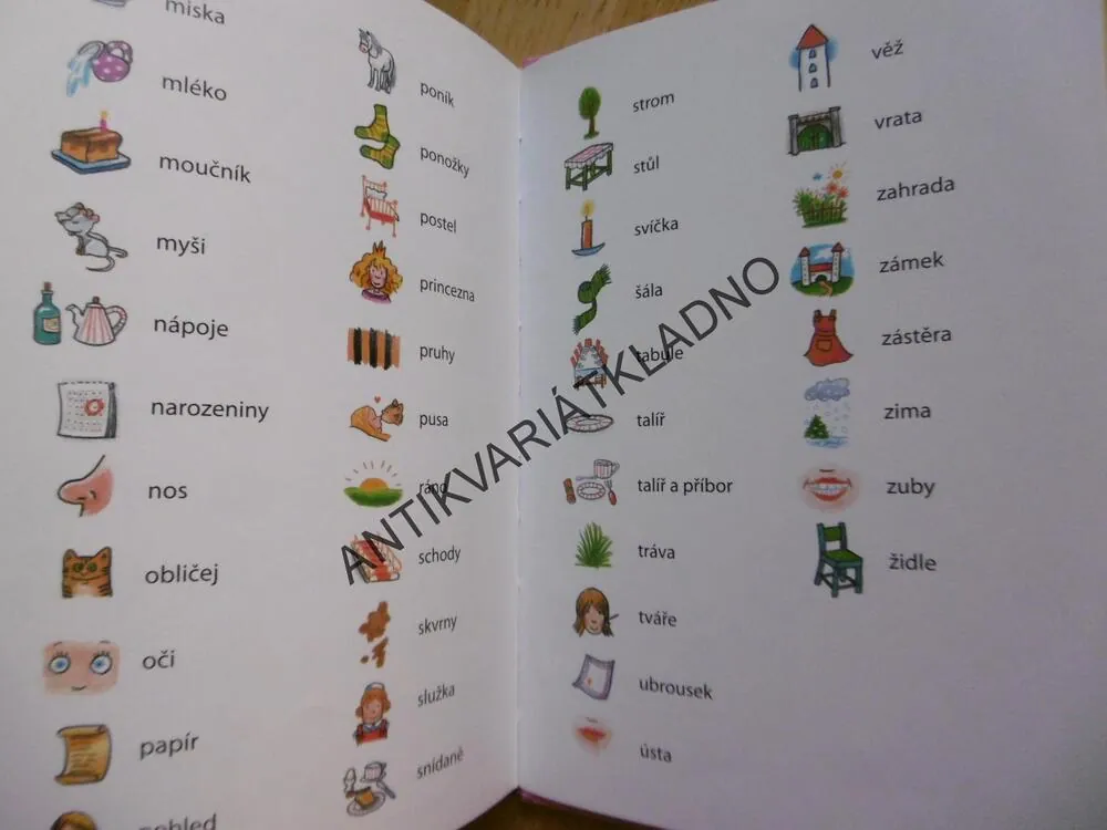 O MALÉ PRINCEZNĚ