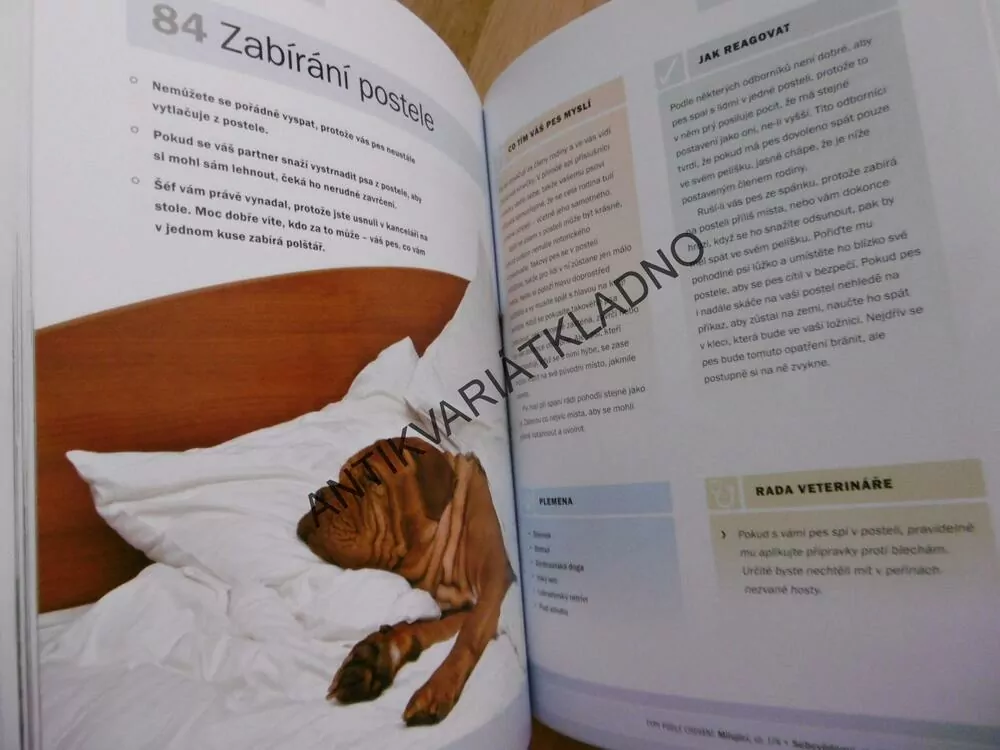 JAK TO TEN PES MYSLÍ? VIZUÁLNÍ PRŮVODCE PSÍ ŘEČÍ, ARDEN MOOREOVÁ