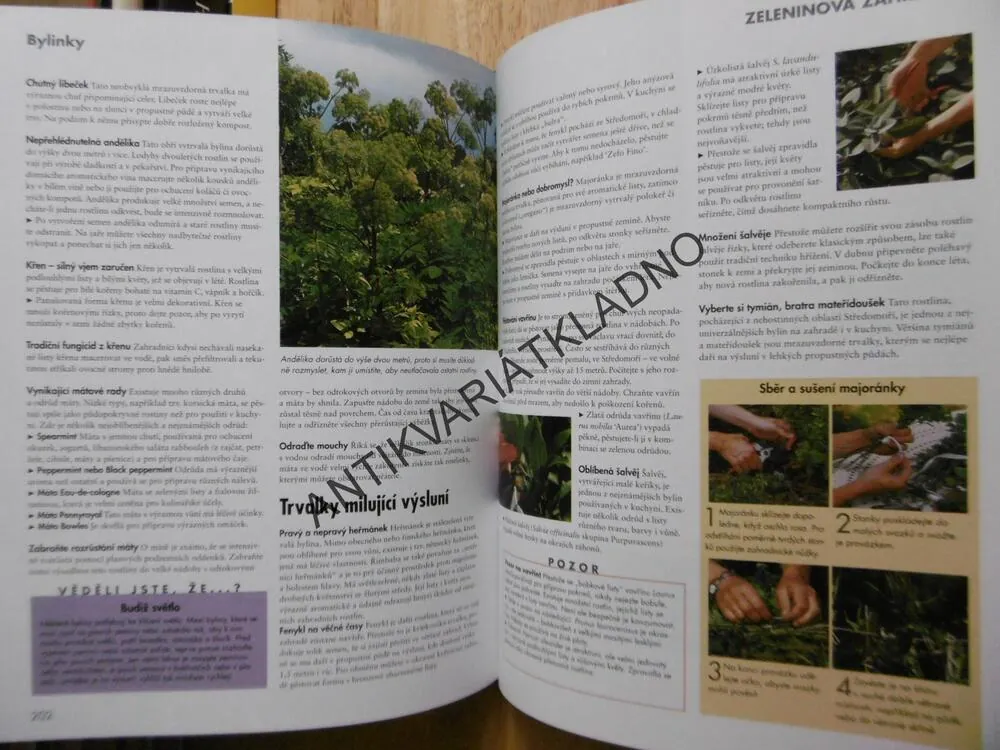 TAJEMSTVÍ DĚDEČKOVY ZAHRADY, **an
