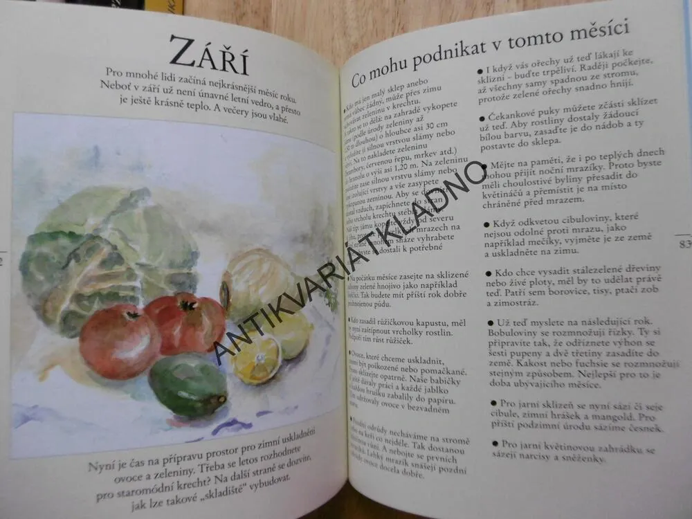 ZAHRADNIČIT S MĚSÍCEM, CLAUDIA GRAFOVÁ