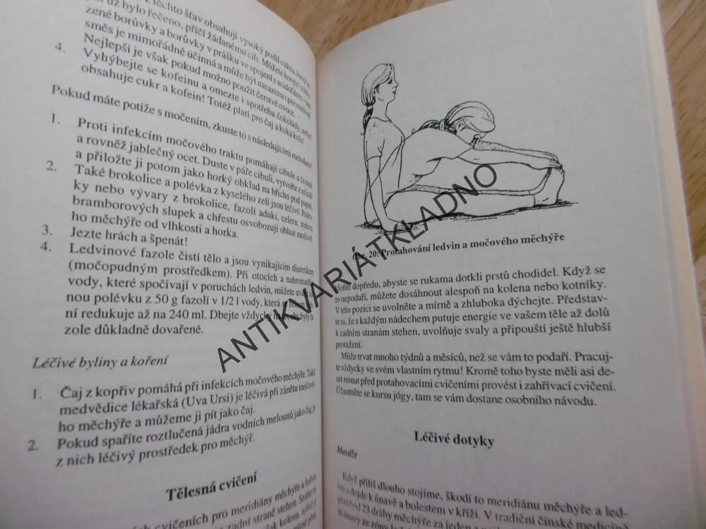 TAJEMSTVÍ ČÍNSKÉHO LÉČITELSTVÍ, HARPEROVÁ