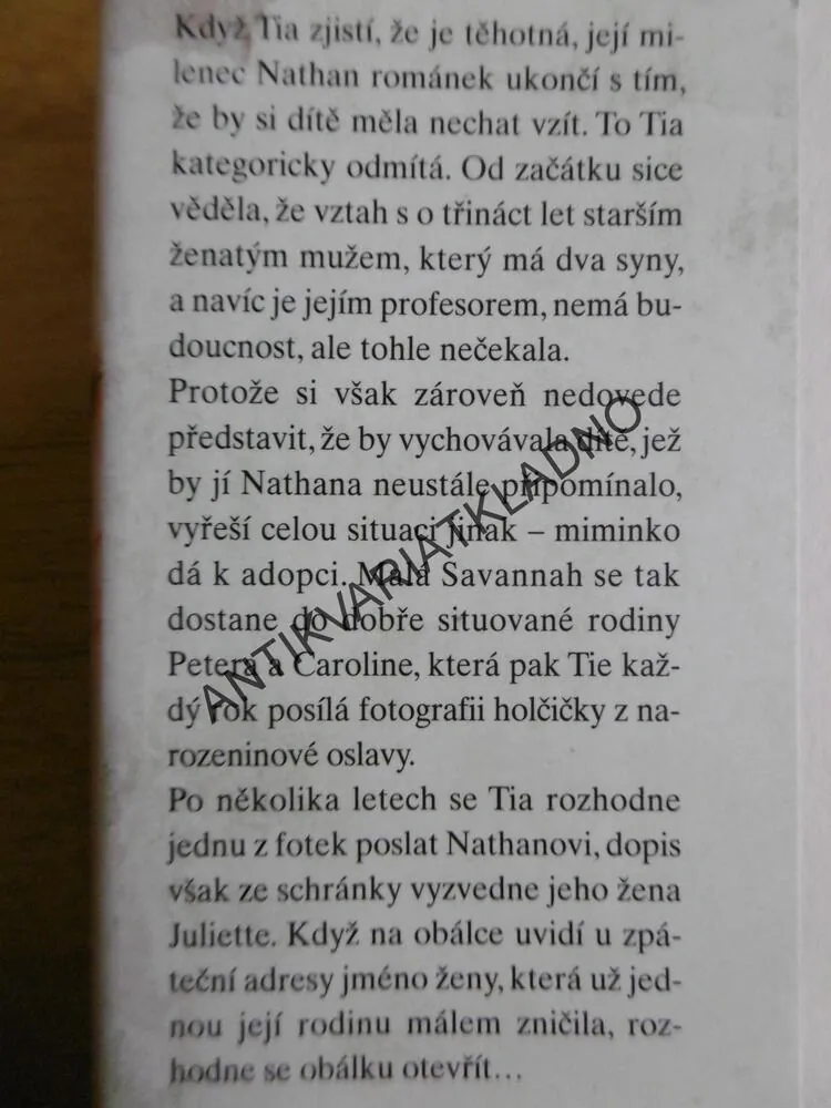 POHODLNÉ LŽI, RANDY SUSAN MEYERSOVÁ, **an