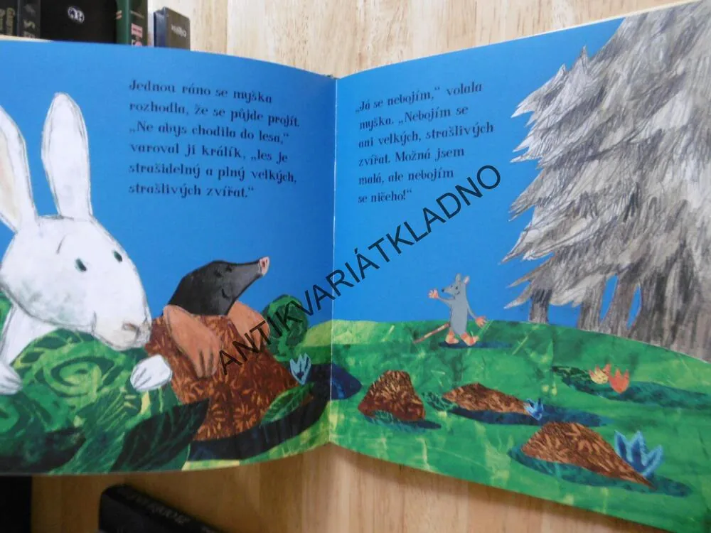 O MYŠCE, KTERÁ SE NEBÁLA, PETR HORÁČEK